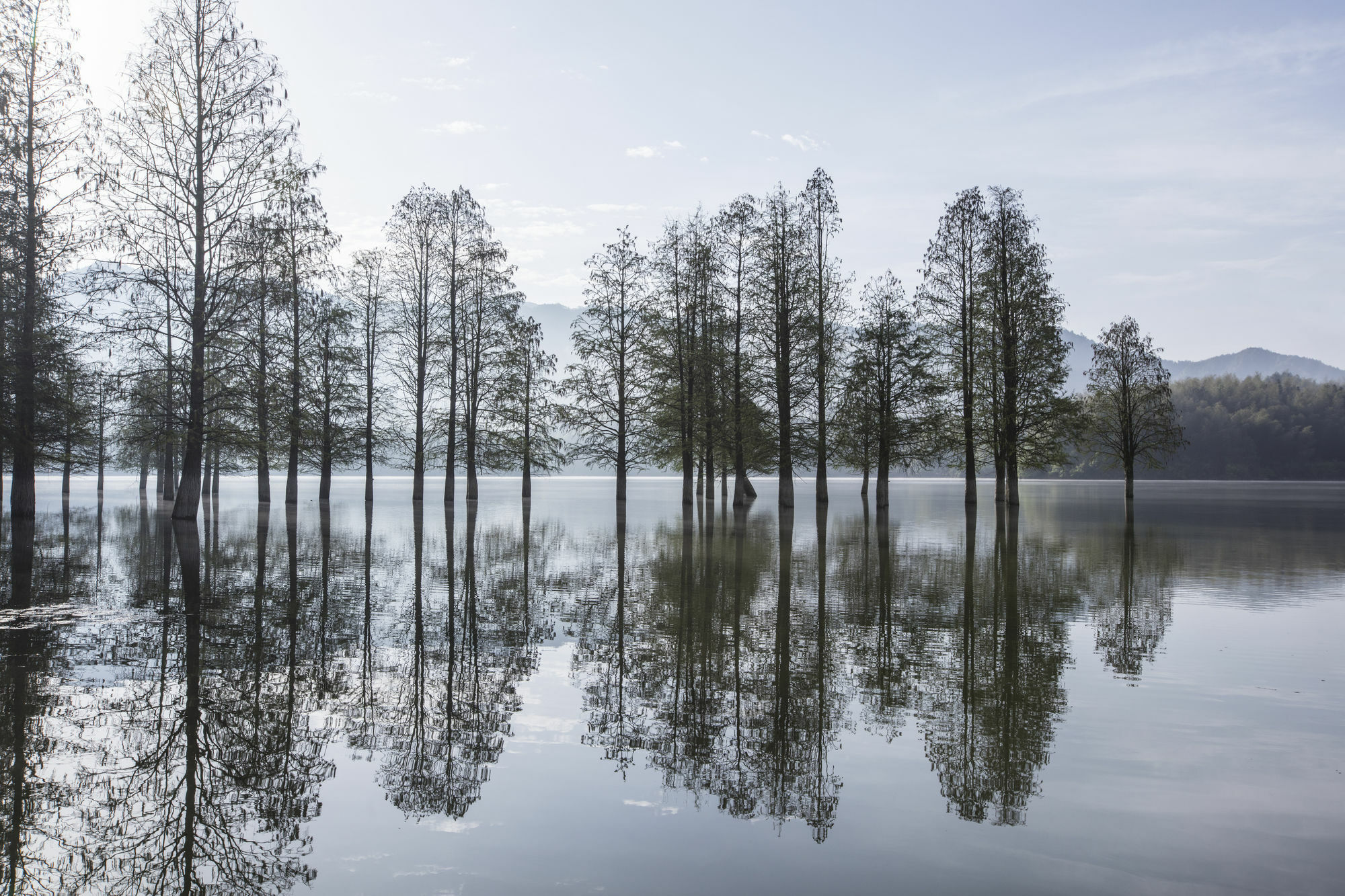 Banyan Tree Hotel Huangshan-The Ancient Charm Of Huizhou, A Paradise Exteriér fotografie